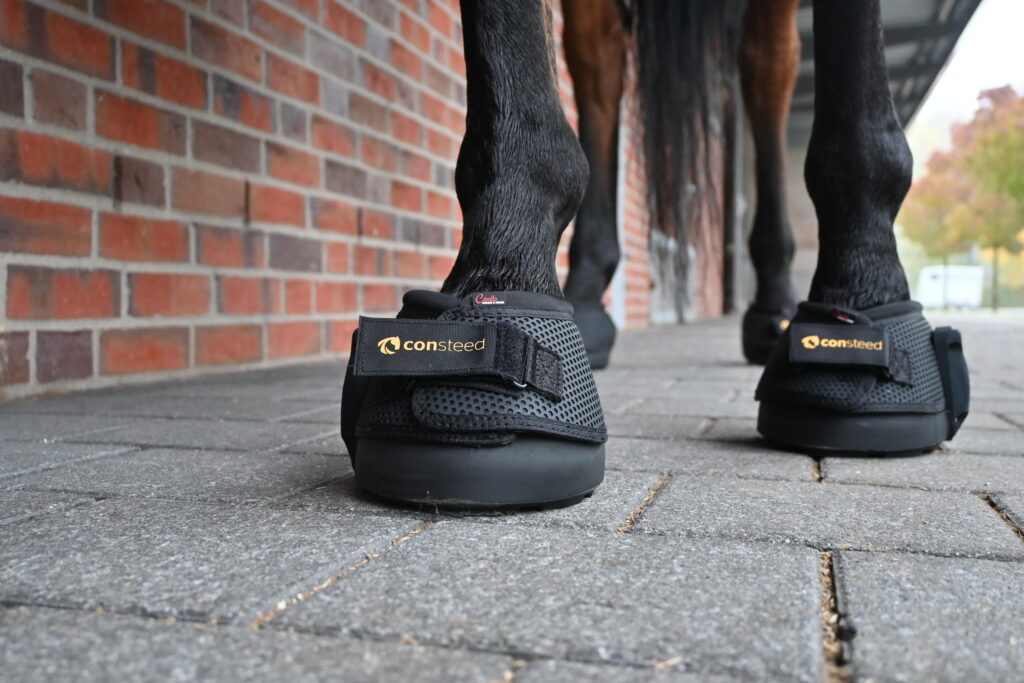 Instrumented hoof boot