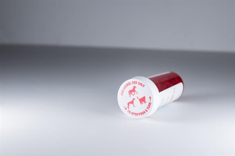 Equine drug container