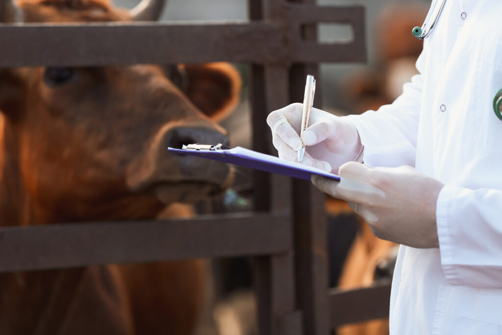 Rural equine veterinarian, a candidate for a rural equine practice grant.