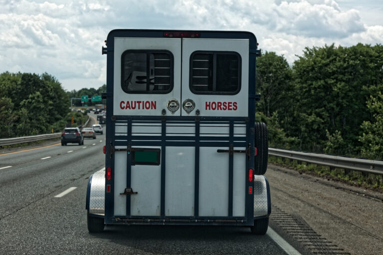 Horse Trailer on Highway