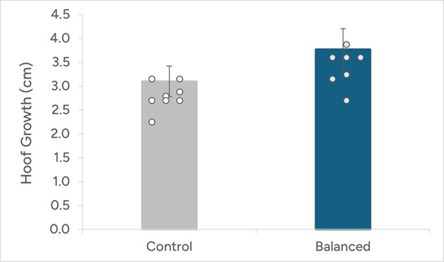 Mad Barn Omneity Study Chart