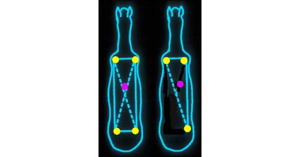 Left: The horse is standing on all four hooves with a rectangular base of support. The CoM (pink circle) is located in the normal position. Right: To remain stable when the left hind is raised, the horse must move the CoM sideways so it lies within the new triangular base. 