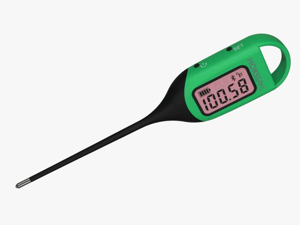 Horsepal's extra-long digital thermometer. 