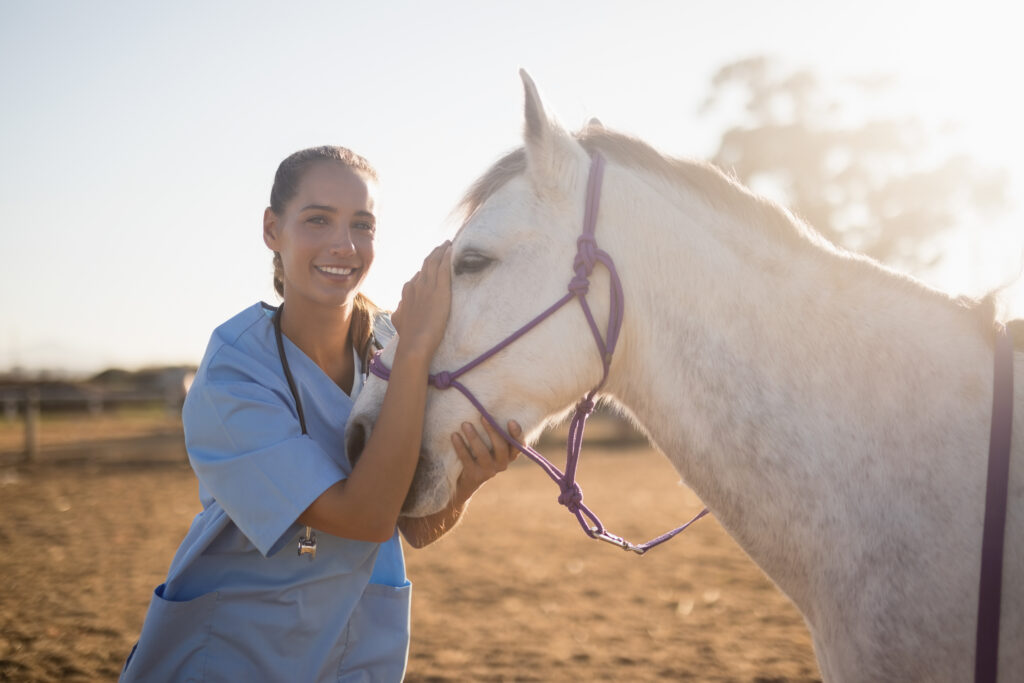 Equine veterinarian/intern petting a horse. 