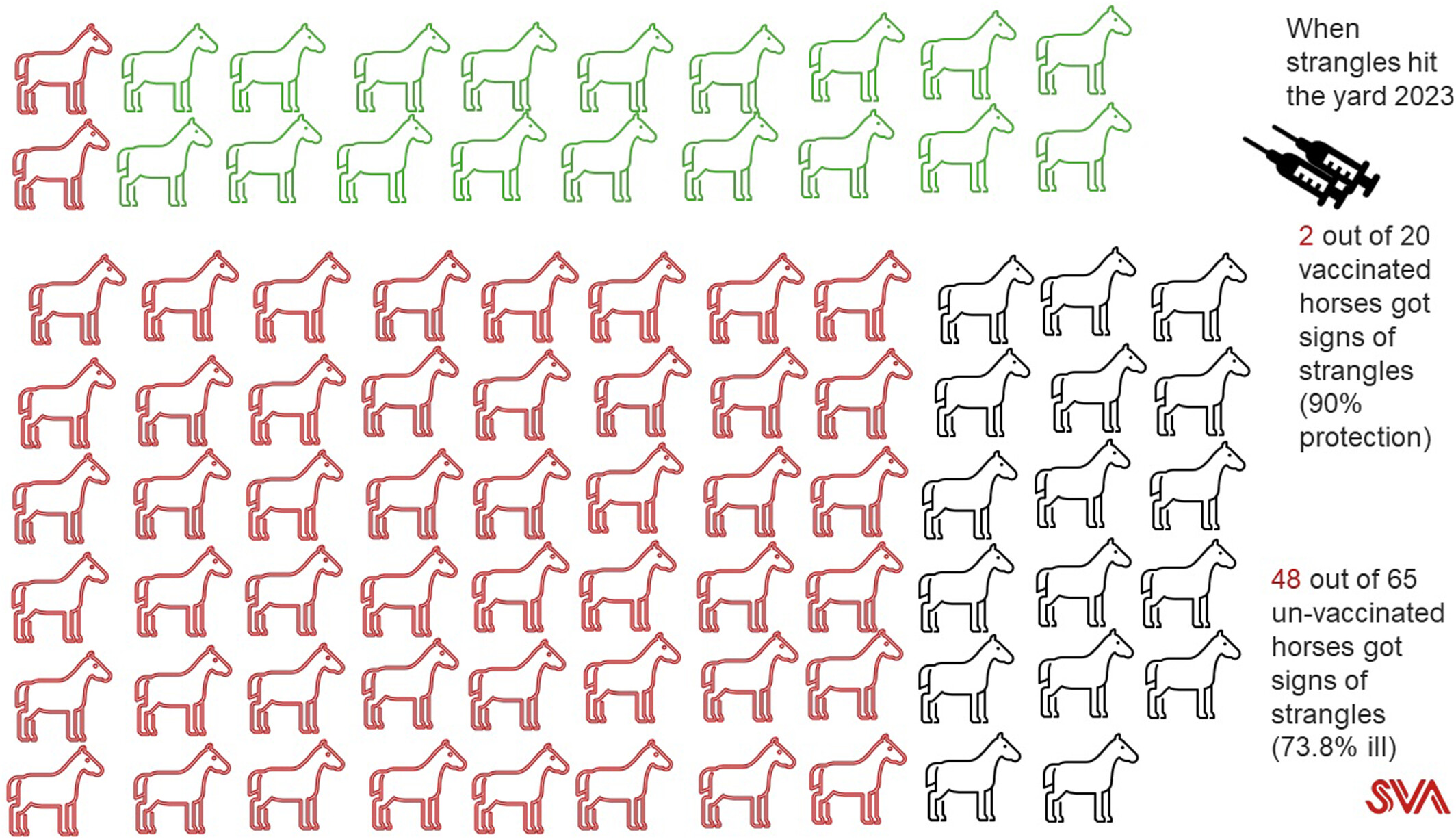 The effect of vaccination in a population of horses exposed to Streptococcus equi subspecies equi in 2023.