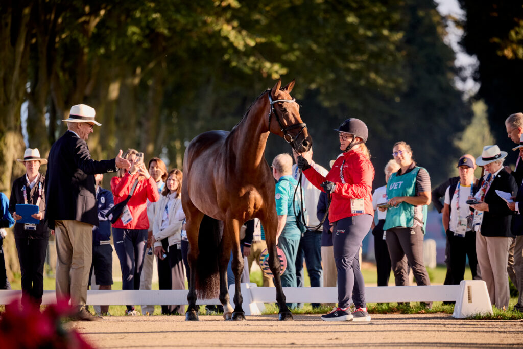 An FEI veterinarian examining a horse at an event.
