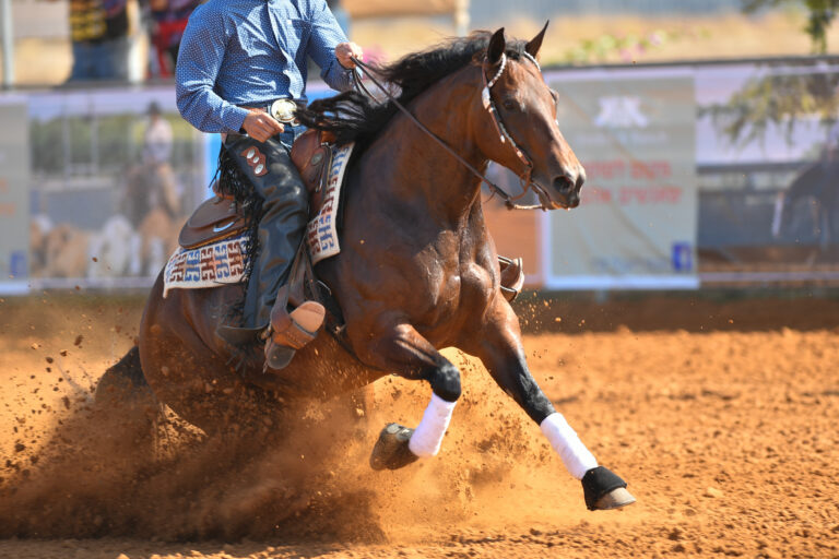 The side view of a rider in cowboy chaps, boots and hat on a horseback running ahead and stopping the horse in the dust