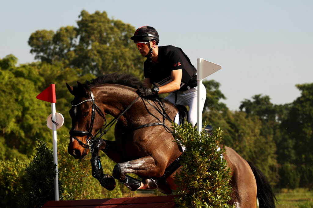 5-star event horse jumping cross country.