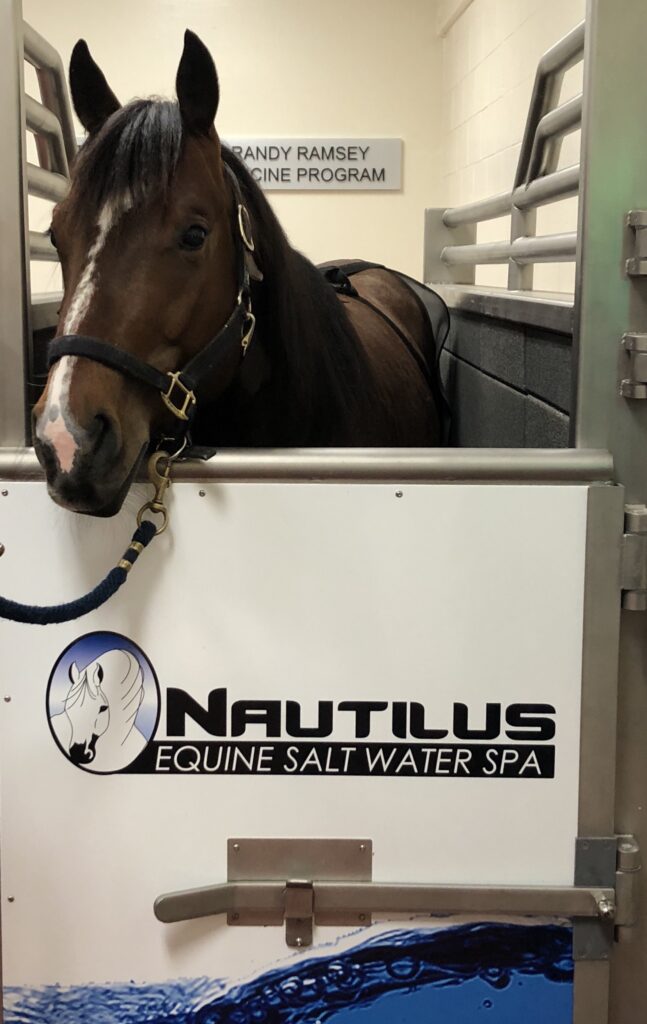 Salter water spa for horses with cellulitis and lymphangitis. 