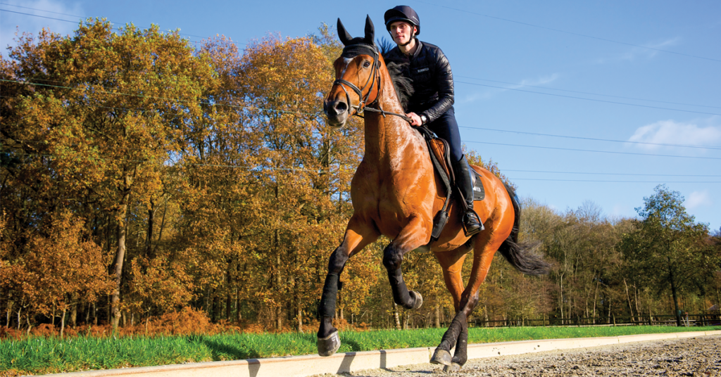 Horse and rider cantering. 