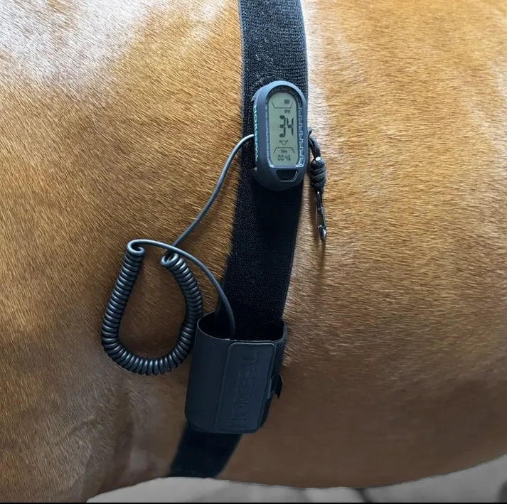 HorsePal cardiac monitoring device
