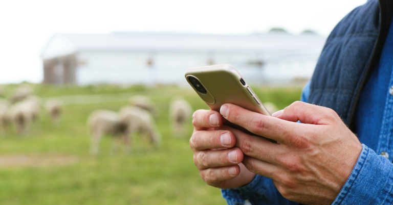 Vet Texting Adobe Stock