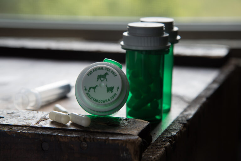 Pet or animal pharmaceutical medication