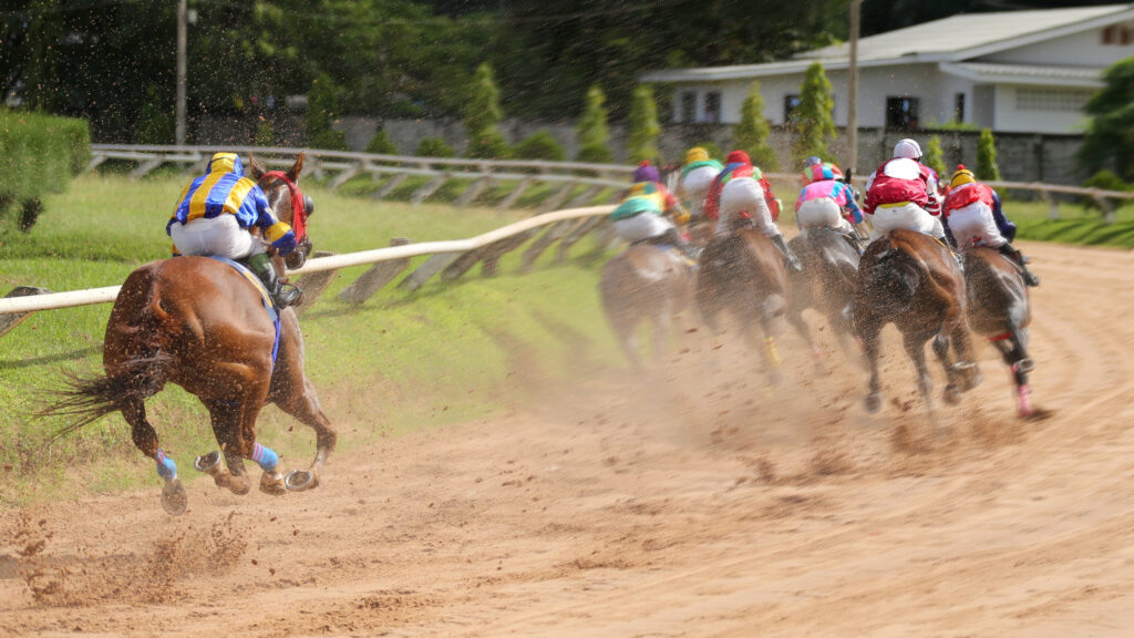 Racehorses galloping on the track. 