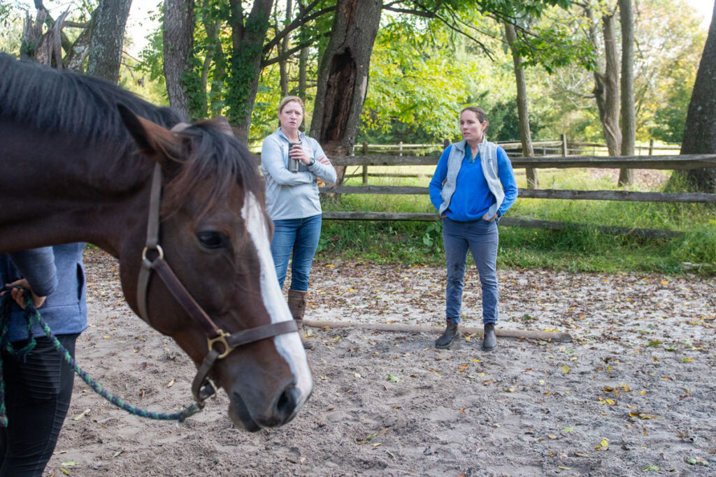 Early-career veterinarian performing a lameness exam, producing revenue for her practice.