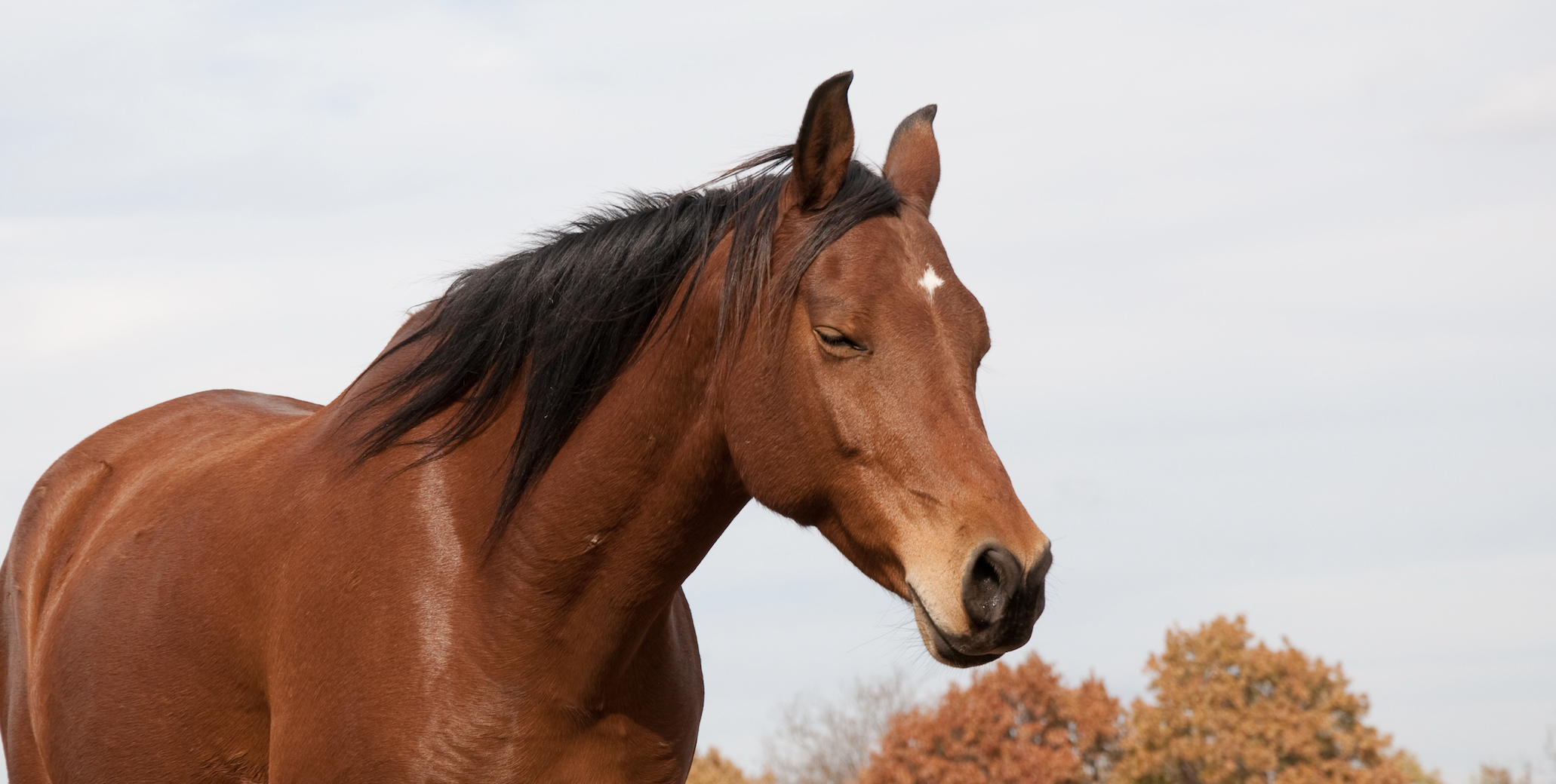 Screenshot 2025-11-05 at 6.47