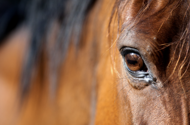 Screenshot 2026-03-09 at 3.32