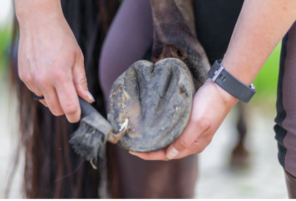 Screenshot 2026-01-02 at 12.01