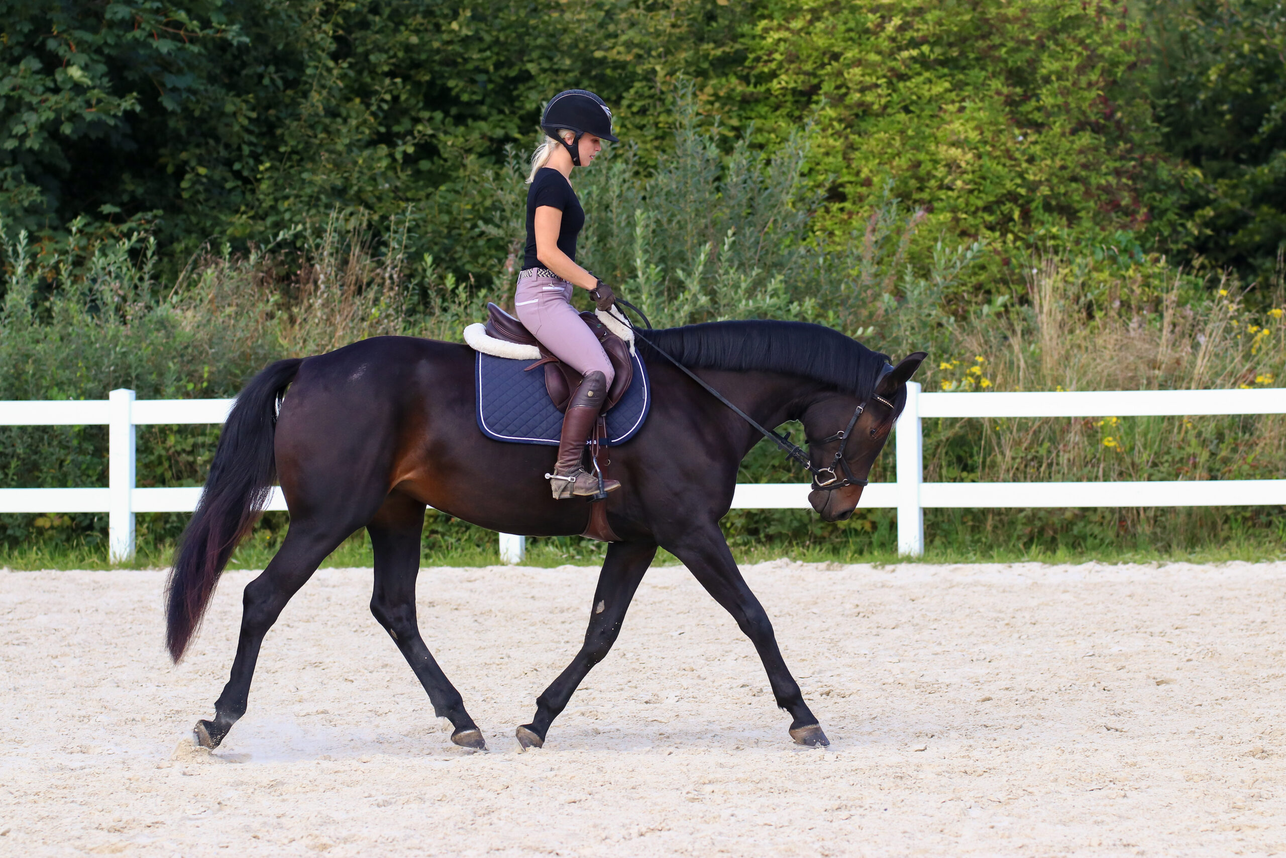 Horse in the riding arena in the portraits, with young rider in motion