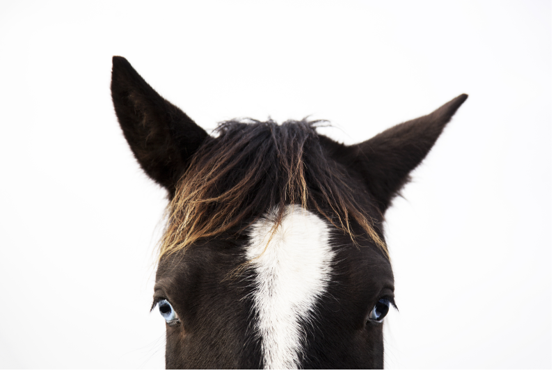 Screenshot 2025-03-31 at 11.18