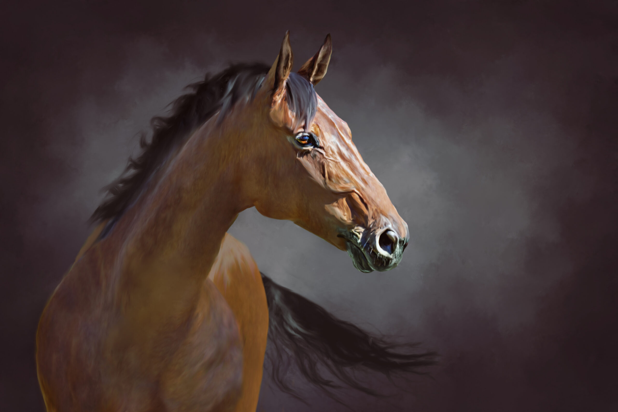 a red horse