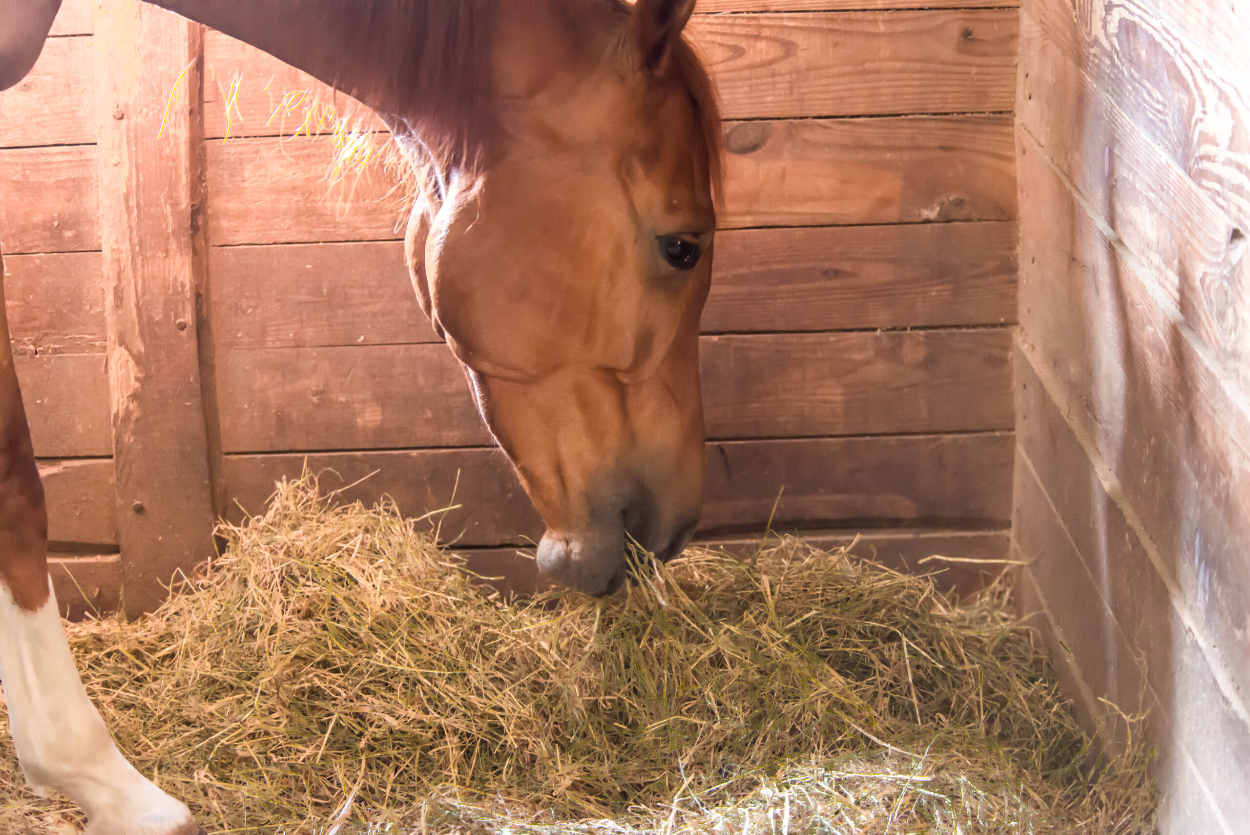 Eating in the Stall