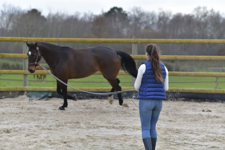 Woman training horse with lanyard