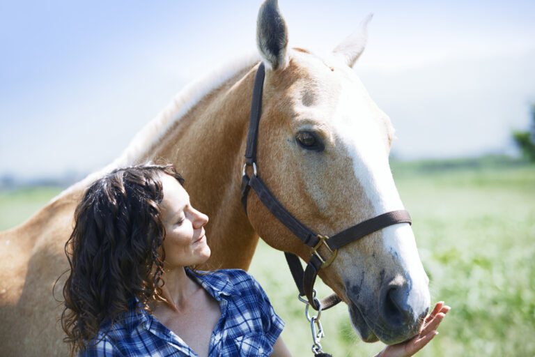 Woman and horse together at paddock