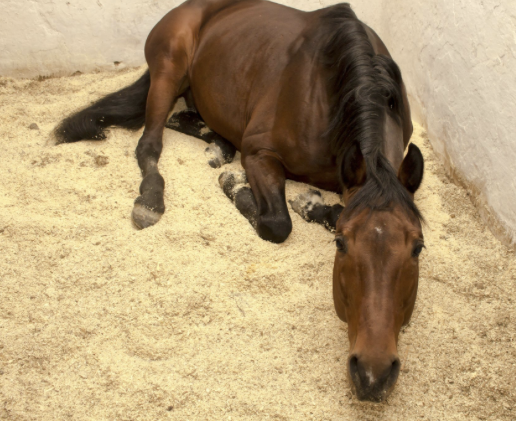 Screenshot 2025-12-17 at 4.25