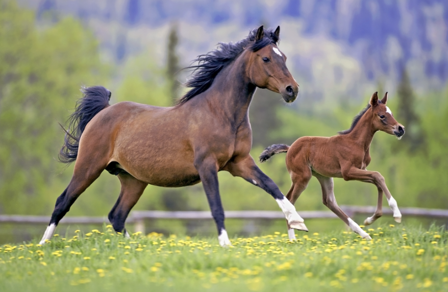 Screenshot 2025-11-11 at 10.24