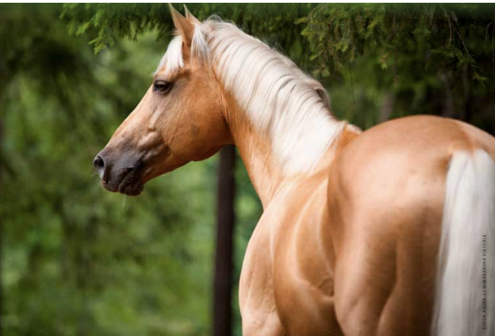 Screenshot 2026-03-10 at 3.35