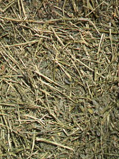 Did the Hay Cause Colic? promo image