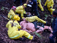 Horse Mannequin Will Train Rescuers promo image