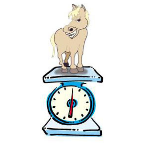 horsescaleweight