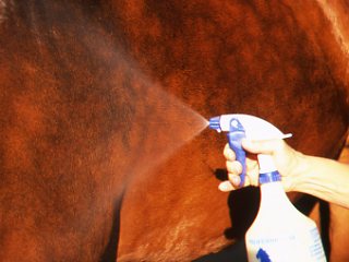 Fear of Fly Spray promo image