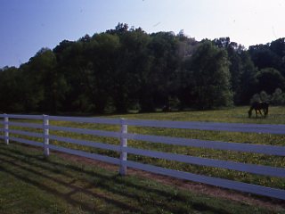 Safety Guidelines for Barn Visitors promo image