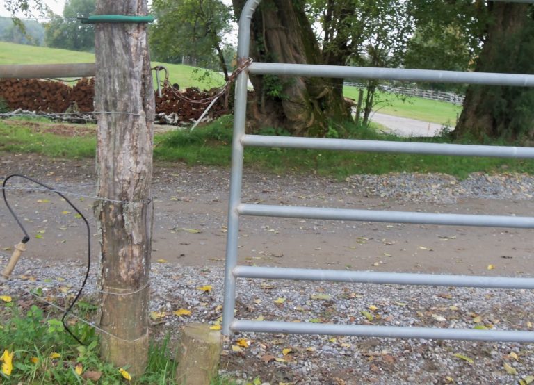 Make Your Pasture Gates and Fences Last Longer promo image