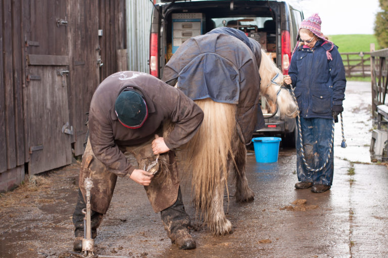winter farrier