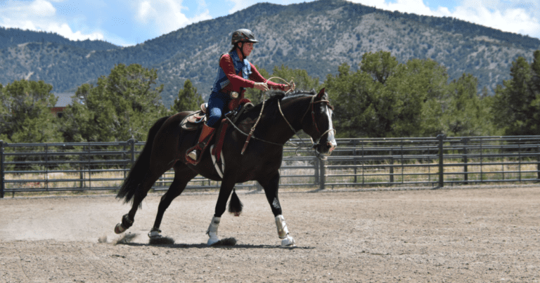 how to ask for the canter with julie goodnight