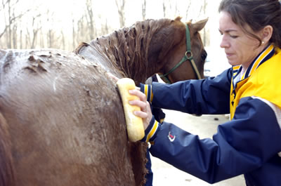 horsemakeover07tiviobath400