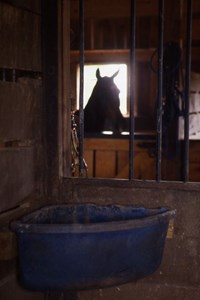 7-Point Midwinter Feeding Checkup promo image