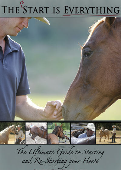 Editor's Pick: October 2014 promo image