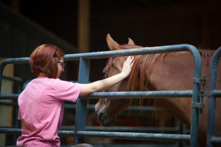 Woman-Horse-Fence