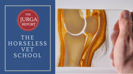 The horse-less vet school:  Simulation rises to the education occasion promo image