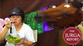 Let’s face it: Horses can recognize human smiles and frowns promo image