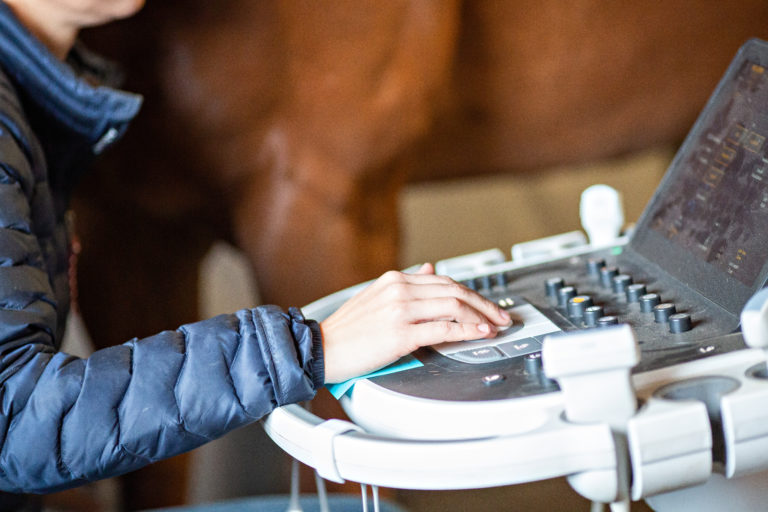 A woman sitting at an ultrasound machine with a horse in the background