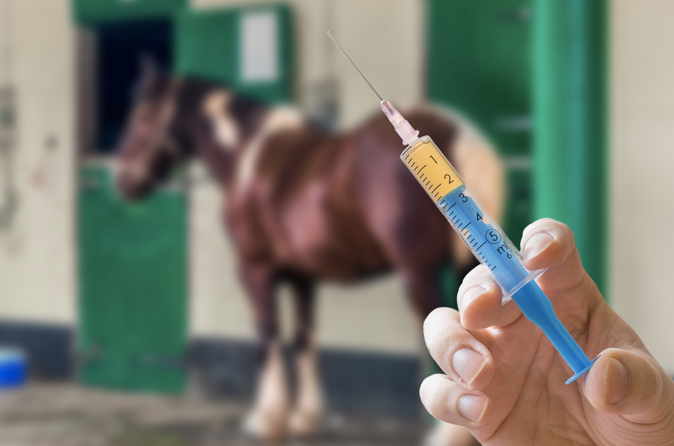 horse_vaccine
