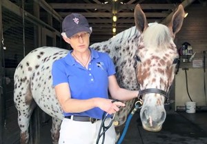 Video series: 7 veterinary skills for horse owners promo image