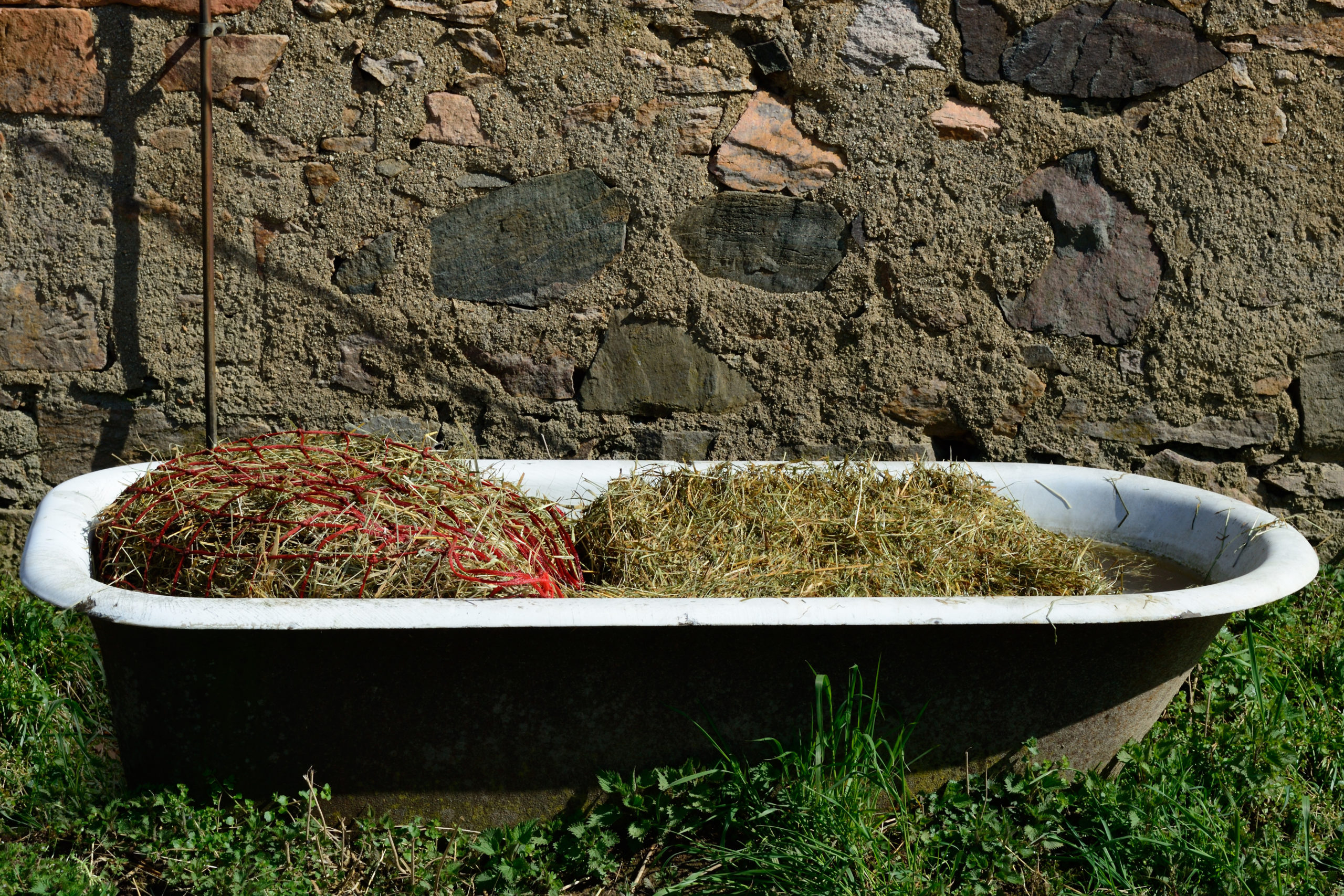 Two ways to soak hay