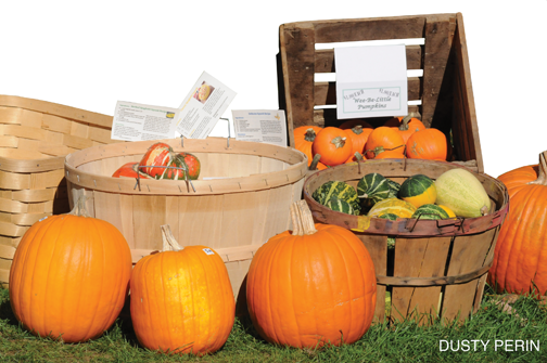 HandsOn pumpkin